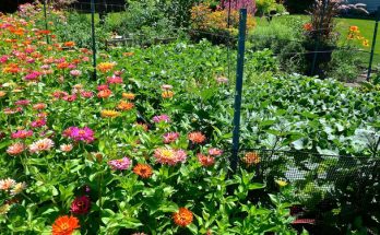 A virágos kert kártevői: Azonosítás és hatékony kezelési módok