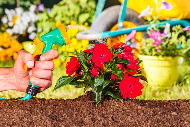 Tanácsok a virágöntözéshez – Hogyan gondoskodjunk növényeink egészségéről