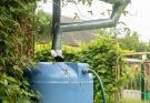 Esővízgyűjtés otthon: környezetbarát megoldás a kertre