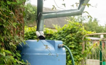 Esővízgyűjtés otthon: környezetbarát megoldás a kertre