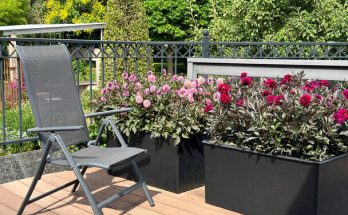 A legjobb virágok balkonokra és teraszokra