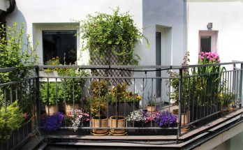 Ötletek a balkon és terasz virágdíszítésére