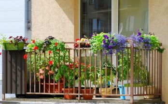 Ötletek a balkon és terasz virágdíszítésére