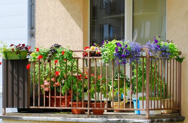Ötletek a balkon és terasz virágdíszítésére