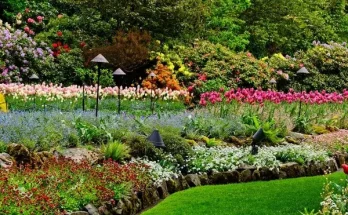 Virágágyás készítése – tippek, trükkök