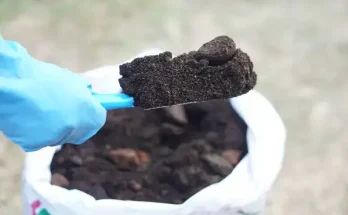 Természetes virágtrágyák alkalmazása: egészségesebb kert titka