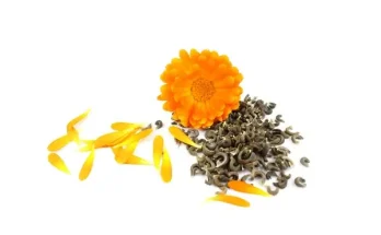 Magvetés otthon: így lesz sikeres a palántanevelés