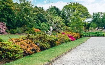 Hangulatos virágos sétányok és kerti utak tervezése otthonra