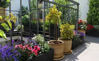 Balkonládák legszebb virágai: tavasztól őszig virágpompában