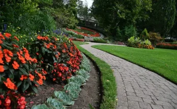 Kreatív kerti utak virágokkal szegélyezve