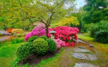 Madárbarát virágoskert: mivel vonzd be a madarakat?