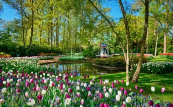 Virágos ötletek kerti partikhoz, születésnapokra