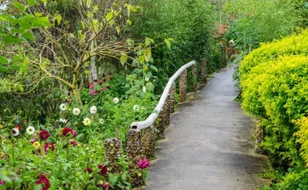 Alacsony karbantartású virágoskert – ötletek elfoglaltaknak