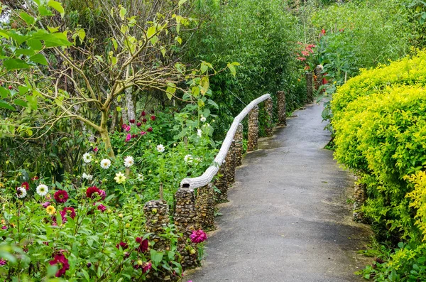 Alacsony karbantartású virágoskert – ötletek elfoglaltaknak