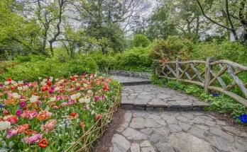 Vízigényes és szárazságtűrő virágok egy kertben? Megoldható!