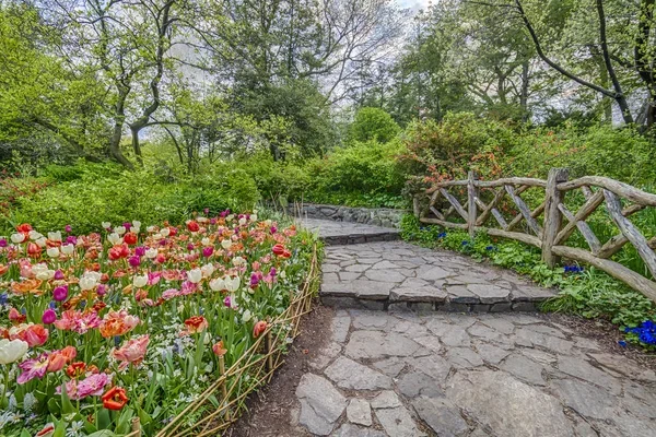 Vízigényes és szárazságtűrő virágok egy kertben? Megoldható!