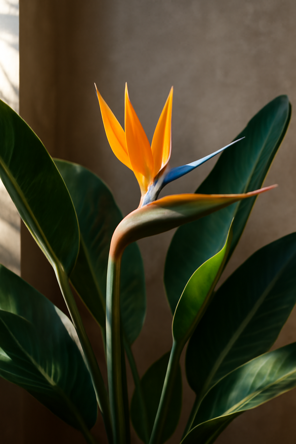 A Strelitzia virág élénk narancssárga és kék színű virágzata zöld levelek között.