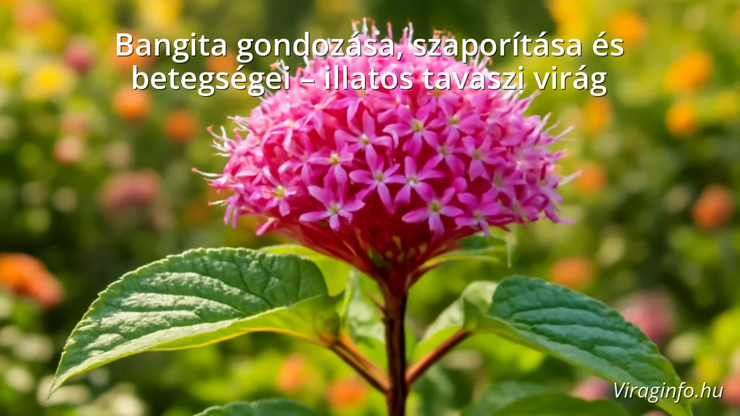 Bangita tavaszi virágzás közben napfényes kertben